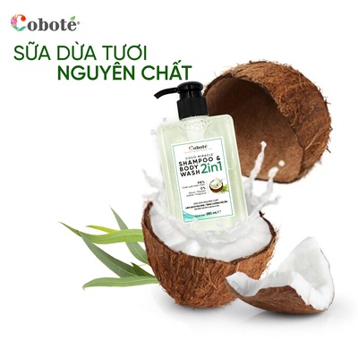 Dầu Tắm Gội Toàn Thân 2-in-1 COBOTÉ 280ML