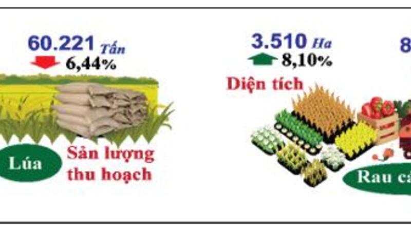 Diện tích, sản lượng lúa, rau các loại 9 tháng năm 2024 (so cùng kỳ)