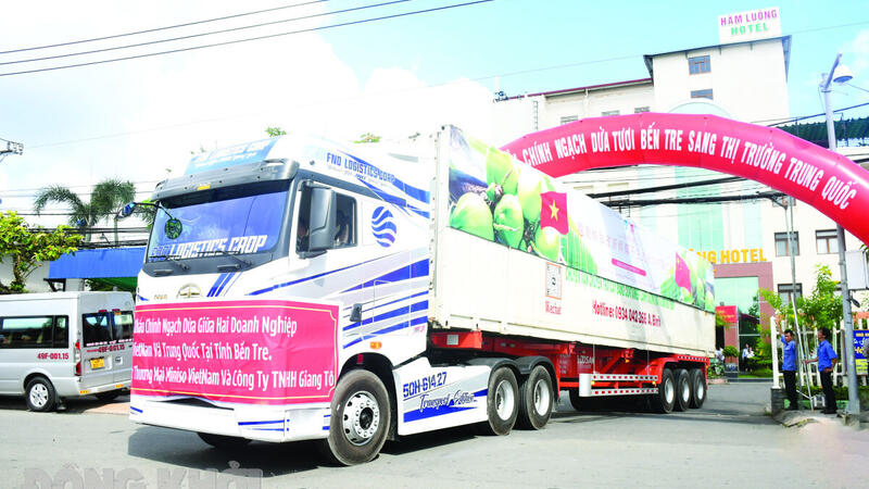 Chuyến xe xuất khẩu dừa tươi Bến Tre sang thị trường Trung Quốc